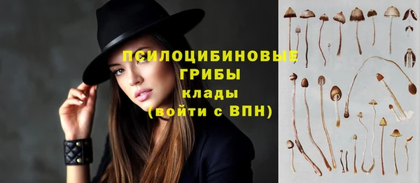 дмт Абинск